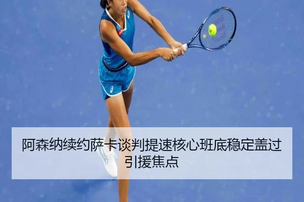 a-sen-na-xu-yue-sa-ka-tan-pan-ti-su-he-xin-ban-di-wen-ding-gai-guo-yin-yuan-jiao-dian-2-218.jpg